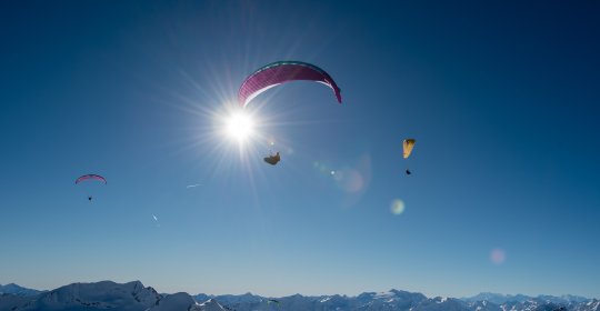 Der neue Fixstern am B-Himmel?